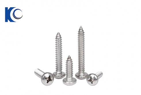 Pan Head Self Tapping Screw